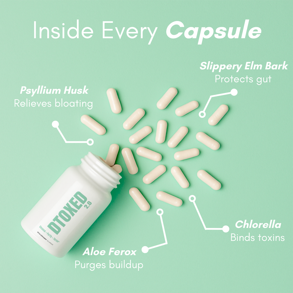 Dtoxed 2.0 Toxin Binder - Prevents Reabsorption During Cleanse