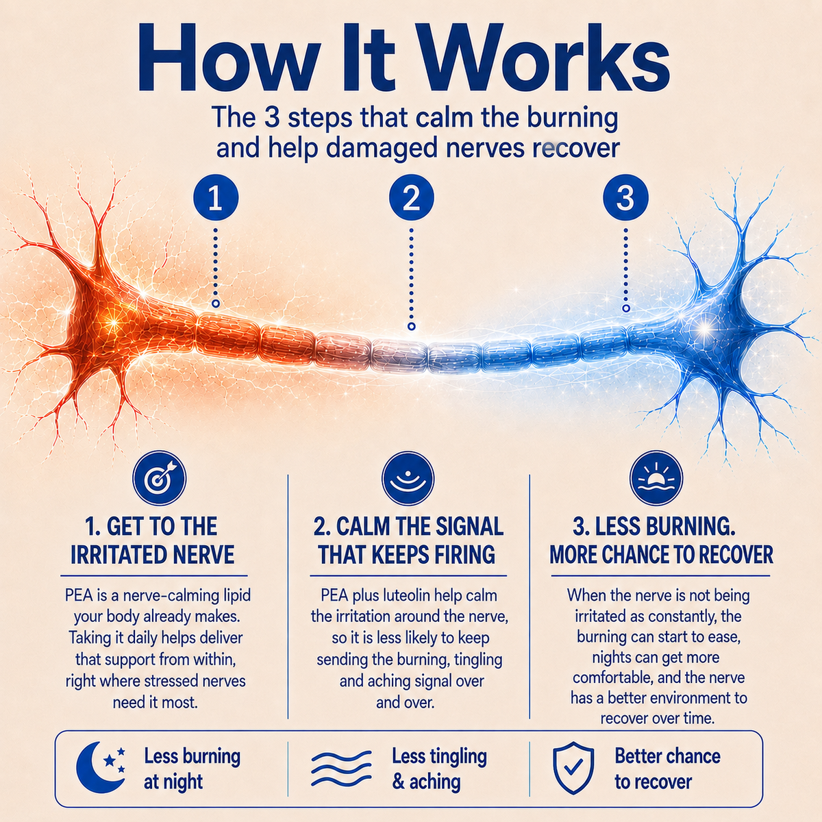 Dtoxed™ Nerve Relief PEA Lipid