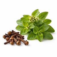 Clove & Oregano Leaf