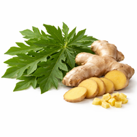 Papaya Leaf & Ginger Root
