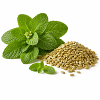 Peppermint & Fennel Seed